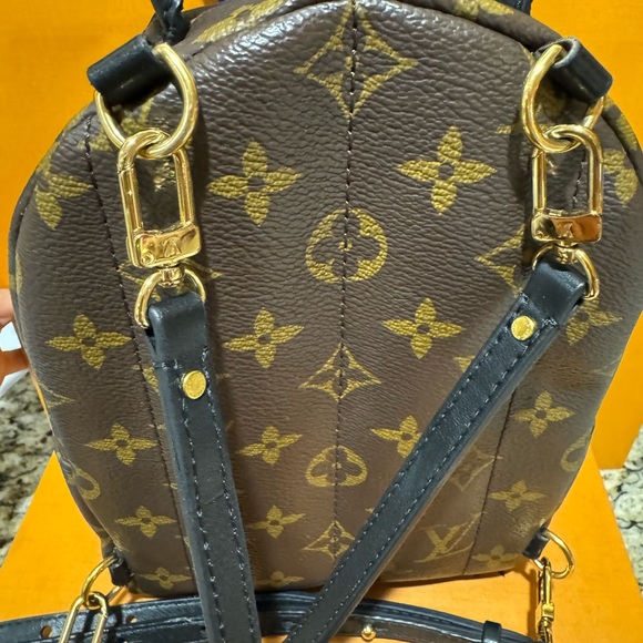 Louis Vuitton Palm Springs pm - Picture 5 of 12